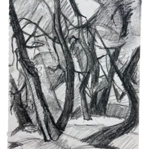 Fantastic Trees in Landscape, II